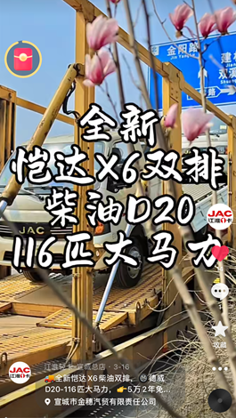 全新愷達X6柴油雙排，德威D20-116匹大馬力。